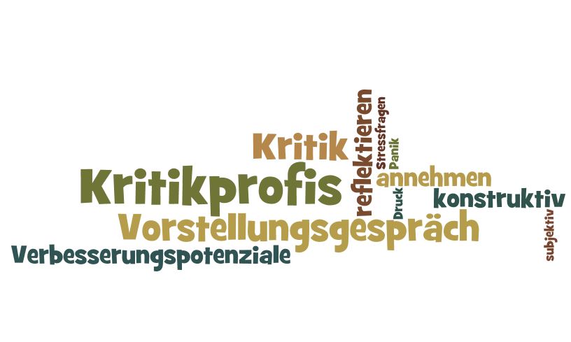 Kritikprofil